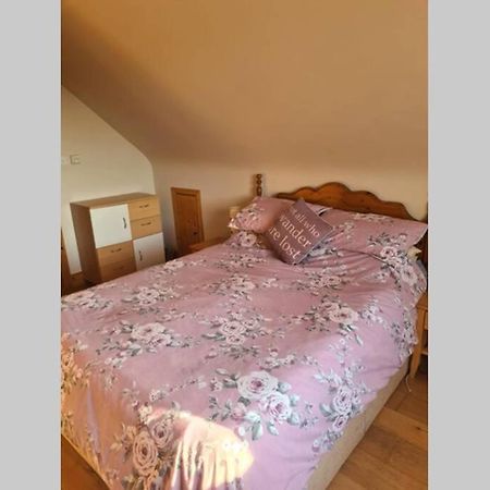 فيلا Breathneach House Limerick Junction المظهر الخارجي الصورة
